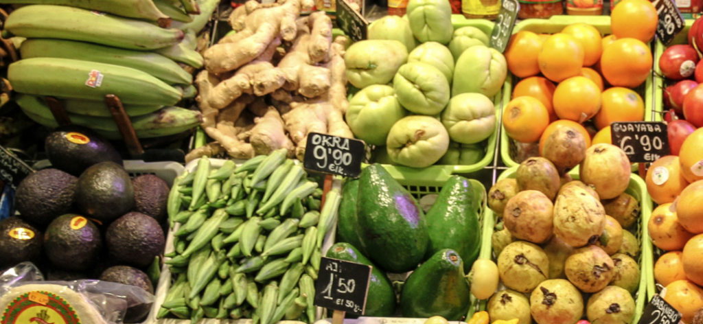 Alimentacion-Sostenible-1-1